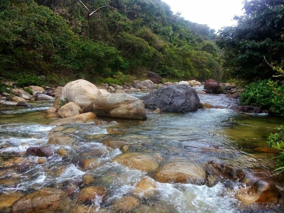 Casa Rio Cuale And River Retreat Puerto Vallarta Ngoại thất bức ảnh