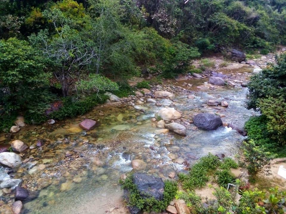 Casa Rio Cuale And River Retreat Puerto Vallarta Ngoại thất bức ảnh