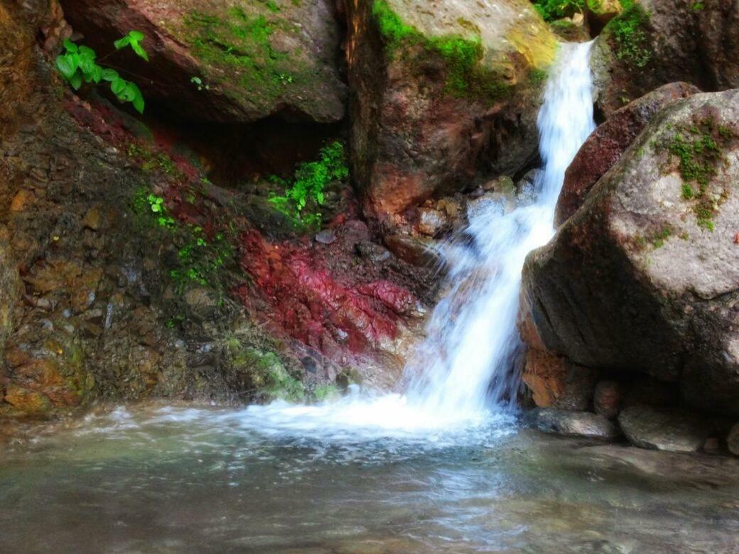 Casa Rio Cuale And River Retreat Puerto Vallarta Ngoại thất bức ảnh